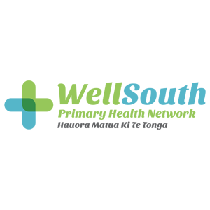 logo_wellsouth